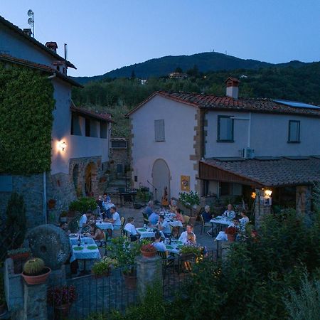 Agriturismo Borgo Mocale Castelfranco di Sopra Extérieur photo