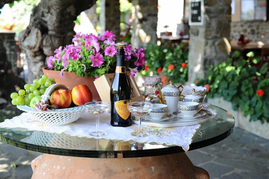 Agriturismo Borgo Mocale Castelfranco di Sopra Extérieur photo